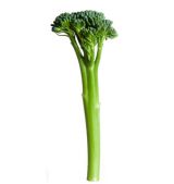 brocoli-esparrago