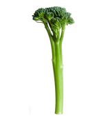 brocoli-esparrago