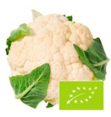 coliflor-exterior-eco